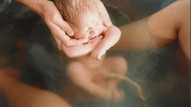 bayi